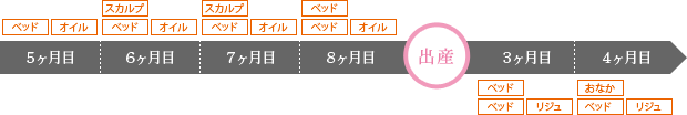 みっちり6ヶ月コース