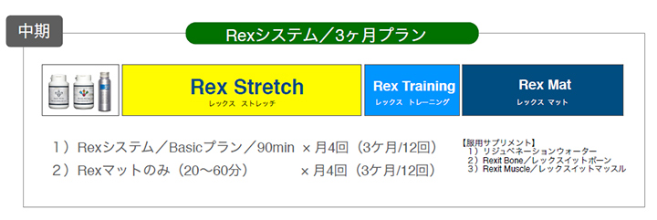 Rexシステム/3ヶ月プラン