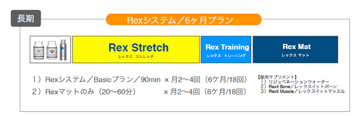 Rexシステム/6ヶ月プラン