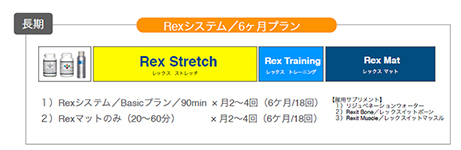 Rexシステム/6ヶ月プラン