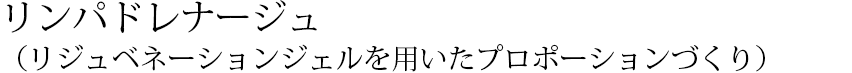 リンパドレナージュ （リジュベネーションジェルを用いたプロポーションづくり）